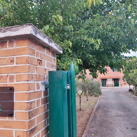 Eco House San Michele Hostel Borgo San Michele  Exterior foto